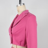 Women elegant Career Turndown Collar Long Sleeve Blazer and Shorts Two-piece Set
