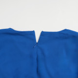 Chic Career Slim Waist Pleated A-Line Chiffon Dress