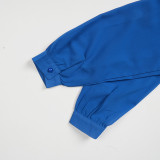 Chic Career Slim Waist Pleated A-Line Chiffon Dress