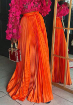 Pleated Solid Color Plus Size Skirt