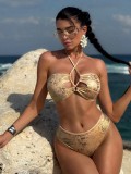 Trendy Two-Piece Shiny Fabric Swimsuit Sexy Lace-Up Bikini
