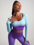 Seamless Tight-Fitting Yoga Set Gradient Long-Sleeve Workout Two-Piece Shorts Set