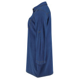 Plus Size Women's Loose Casual Denim Long-Sleeve Dress