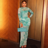 Women Printed Mesh Waist Bodycon High Neck Long Sleeve Chic Dress