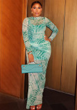 Women Printed Mesh Waist Bodycon High Neck Long Sleeve Chic Dress
