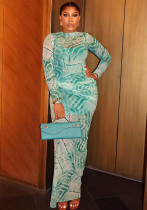 Women Printed Mesh Waist Bodycon High Neck Long Sleeve Chic Dress Women Printed Mesh Waist Bodycon High Neck Long Sleeve Chic Dress