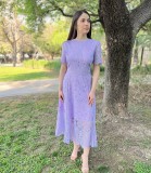 Round Neck Ruffle Sleeve Lace Dress Women's Summer Slim Fit Chic Elegant Gown