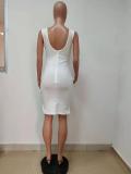 Spring/Summer Women's Sexy Knitted Short Dress