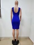 Spring/Summer Women's Sexy Knitted Short Dress