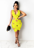 Spring/Summer Women's Sexy Knitted Short Dress