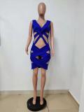 Spring/Summer Women's Sexy Knitted Short Dress