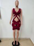 Spring/Summer Women's Sexy Knitted Short Dress