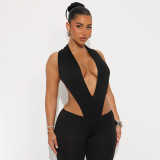 Women Spring and Summer Sexy V Neck Sleeveless Bodysuit and Flared Pants Two-piece Set