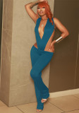 Women Spring and Summer Sexy V Neck Sleeveless Bodysuit and Flared Pants Two-piece Set