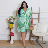 Women's Trendy Print Half-Sleeve Turndown Collar Plus Size Shirt Dress