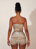 Women Sexy Leopard Print Irregular Strapless Vest Shorts Two-Piece Set