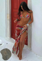 Mesh Three-Piece Bikini Swimsuit