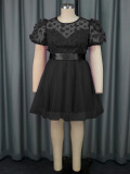 Women Puff Sleeve Butterfly Mesh Dress