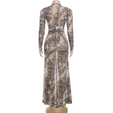 Women Fall Hollow Halter Neck Style Printed Sexy Dress