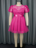 Women Puff Sleeve Butterfly Mesh Dress