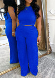 Women Sexy Vest Pleated Pants Two Piece Set