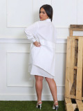 Women's Fashion Casual Loose Dress