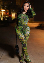 Printed Color-Block Casual Mesh Pants Set Slim Fit Top & Trousers Printed Color-Block Casual Mesh Pants Set Slim Fit Top & Trousers