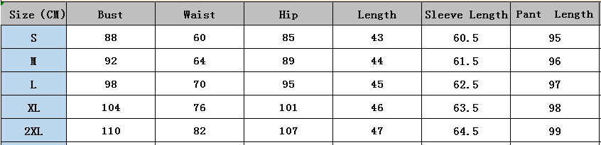 Fashion Casual Sportswear Set Women's Long-Sleeve Zip-Up Slim Fit Two-Piece Pants Set