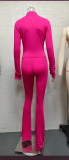 Spring/Summer Casual Sexy Tight-Fitting Bell Sleeve Two-Piece Pants Set