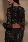 Fitted Lace Cut-Out Top & Skirt Two-Piece Set