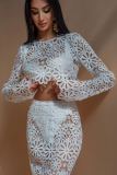 Fitted Lace Cut-Out Top & Skirt Two-Piece Set