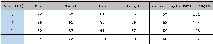 Summer Sexy Long Sleeve See-Through Mesh Hooded Zip-Up Top & Straight Pants Two-Piece Set