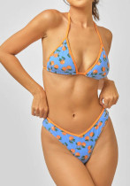 Women Sexy Printed Bikini Two-Piece Set