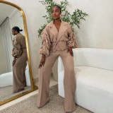 Career Casual Turndown Collar Pleated Sleeve Wide-Leg Pants Set