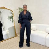 Career Casual Turndown Collar Pleated Sleeve Wide-Leg Pants Set