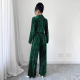 Women Pleated Velvet Long-Sleeved Blazer and Wide-Leg Pants Two-Piece Set
