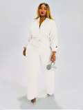 Women's Long Sleeve Casual Shirt & Elastic Waist Straight Pants Two-Piece Set