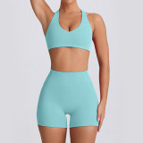 Sports Bra Tank Yoga Wear Outdoor Gym Quick-Dry Yoga Pants Set