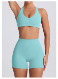 Sports Bra Tank Yoga Wear Outdoor Gym Quick-Dry Yoga Pants Set