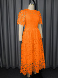 Women Round Neck Elegant Lace See-Through Formal Party Dress