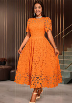 Women Round Neck Elegant Lace See-Through Formal Party Dress