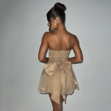Women's Sexy Strapless Mesh Low Back Party Dress