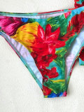 Floral Print Two-Piece Swimsuit with Bodycon Skirt 3-Piece Set