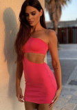 One Shoulder Sheer Bodycon Dress Summer Sexy Mini Dress