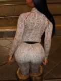 Women Bodycon Leopard Print Zippered Top and Pants Two-Piece Set