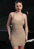 Women's Sexy Mesh Pearl Halter Neck Low Back Bodycon Dress Formal Party Gown