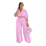 Women Casual V-Neck Crossover Top and Wide-Leg Pants Two-Piece Set