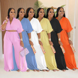 Women Casual V-Neck Crossover Top and Wide-Leg Pants Two-Piece Set
