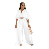 Women Casual V-Neck Crossover Top and Wide-Leg Pants Two-Piece Set