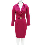 Women's Solid Color Sexy V-Neck Long Sleeve Bodycon Dress